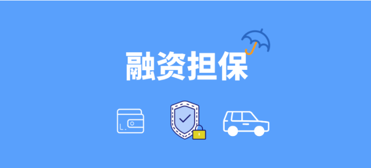 融資擔(dān)保軟件哪家好？